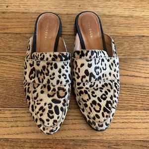 Halogen Violet Leopard Print Genuine Calf Hair Mules